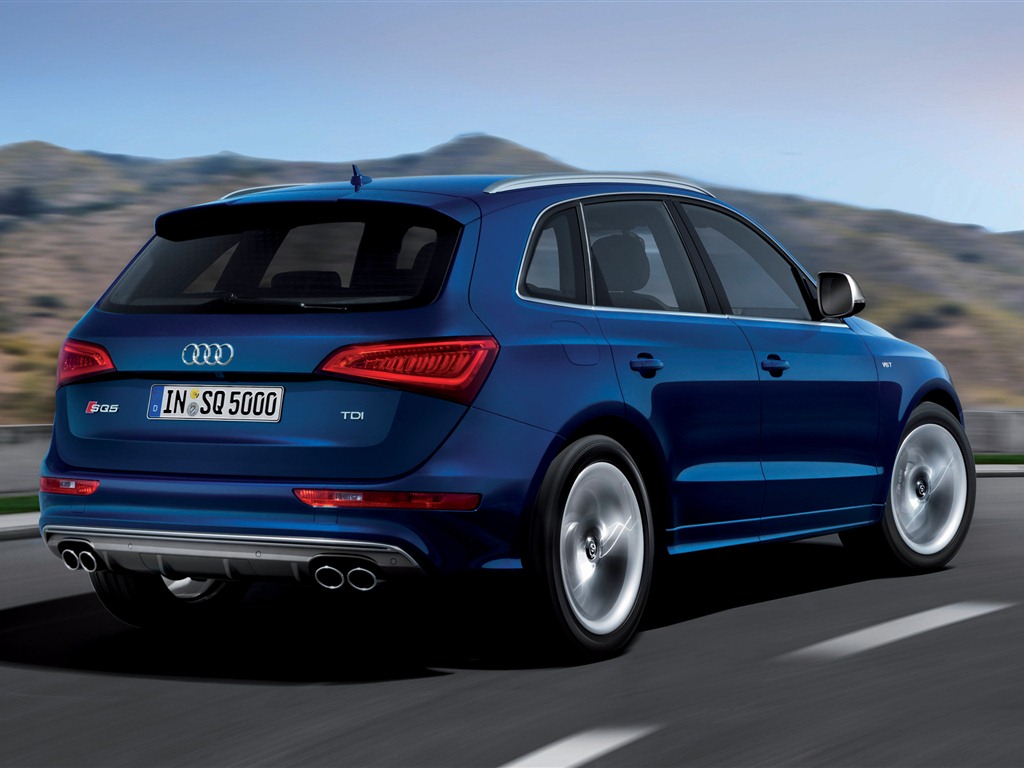 2013 Audi SQ5 TDI 奥迪 高清壁纸9 - 1024x768