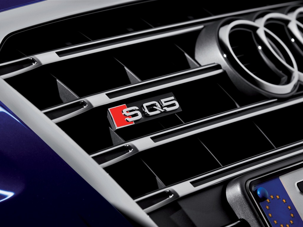 2013 Audi SQ5 TDI 奧迪 高清壁紙 #11 - 1024x768