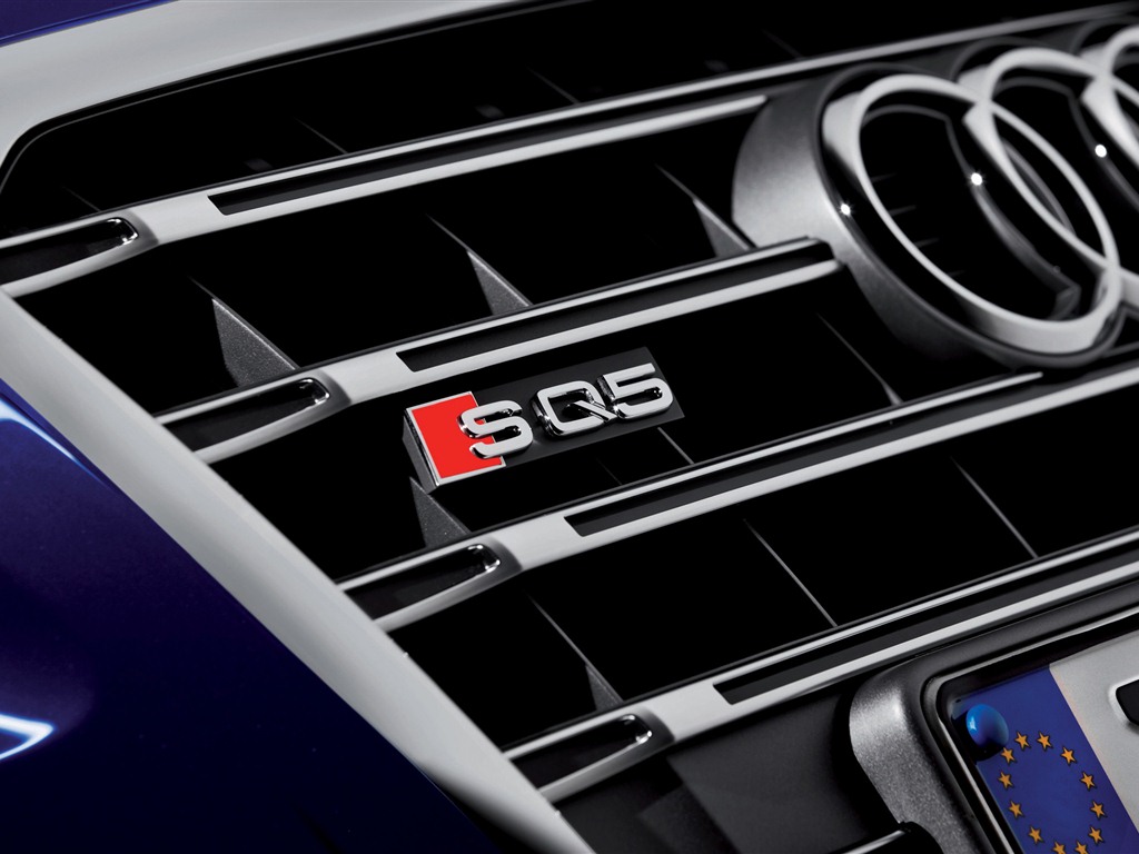 2013 Audi SQ5 TDI 奥迪 高清壁纸11 - 1024x768