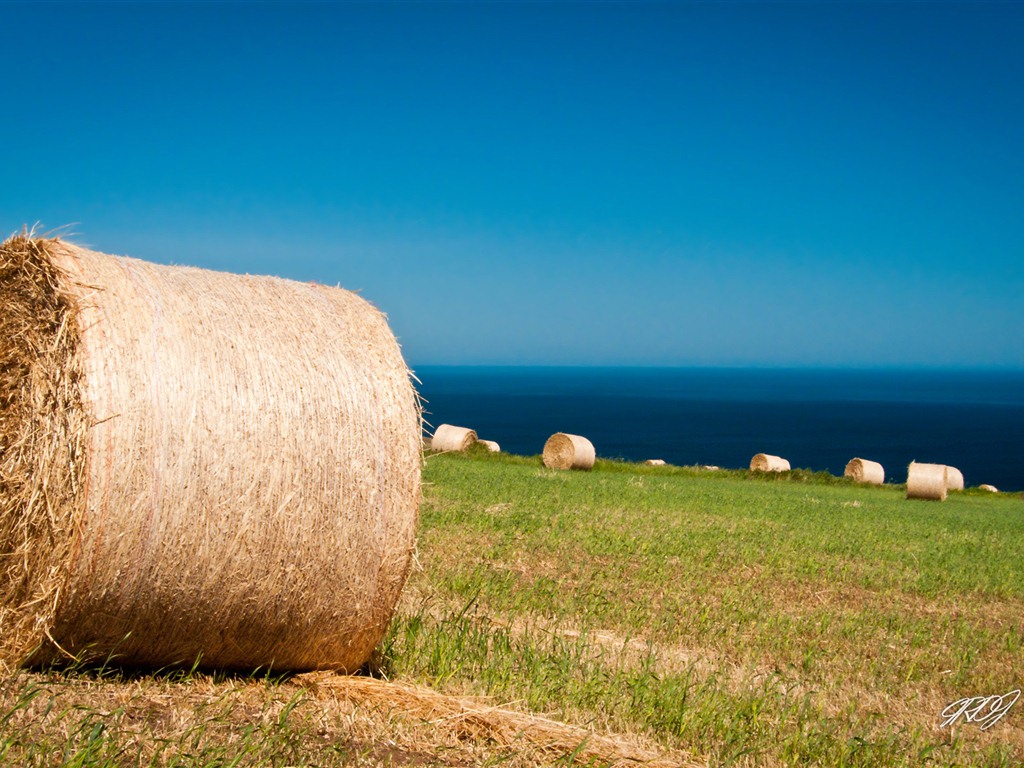 Beau paysage de fonds d'écran HD Australie #1 - 1024x768