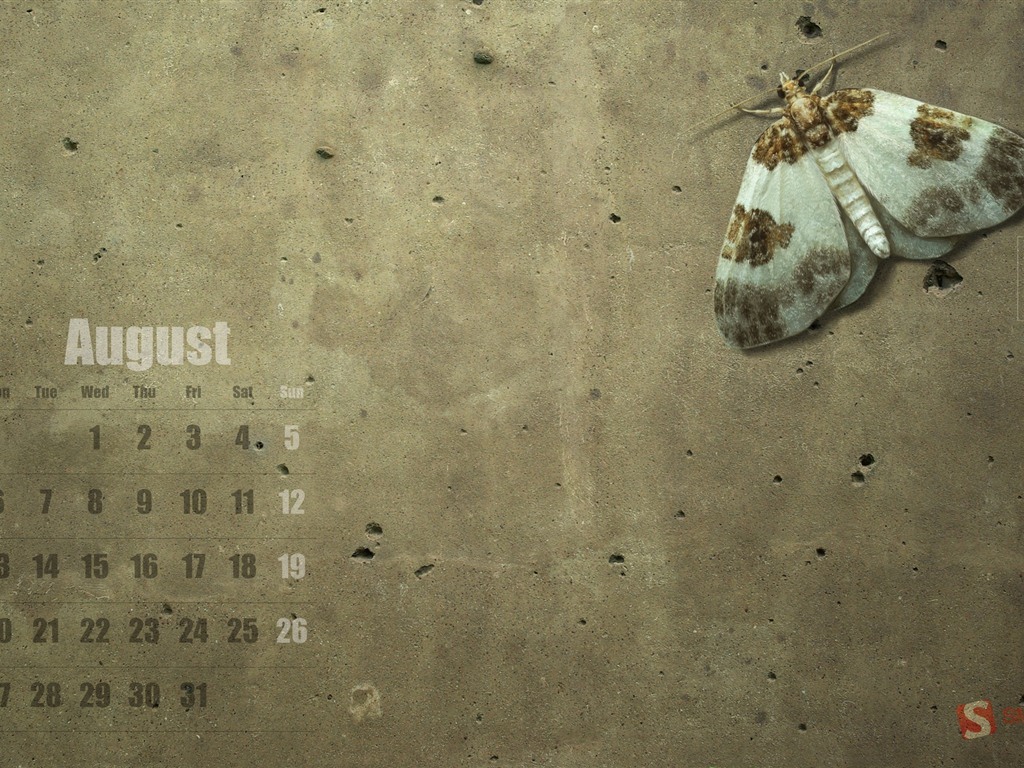 2012年8月 月历壁纸(一)19 - 1024x768