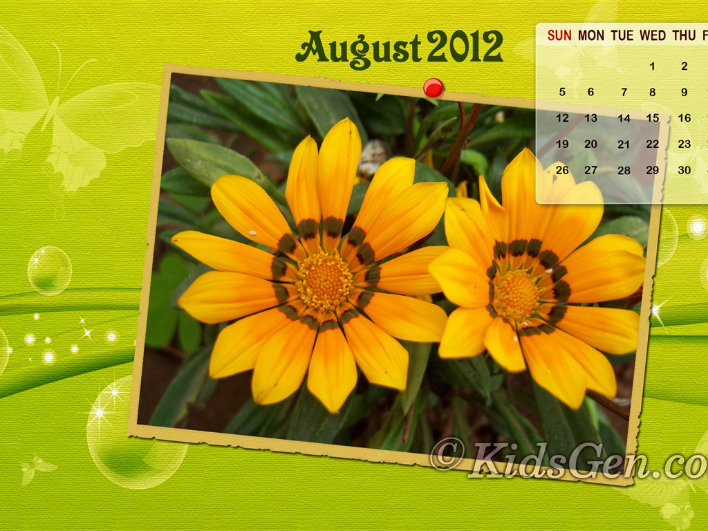 August 2012 Calendar wallpapers (2) #13 - 1024x768