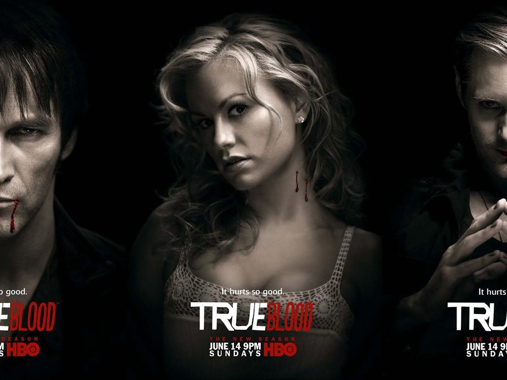 True Blood 真爱如血 电视剧高清壁纸5 - 1024x768