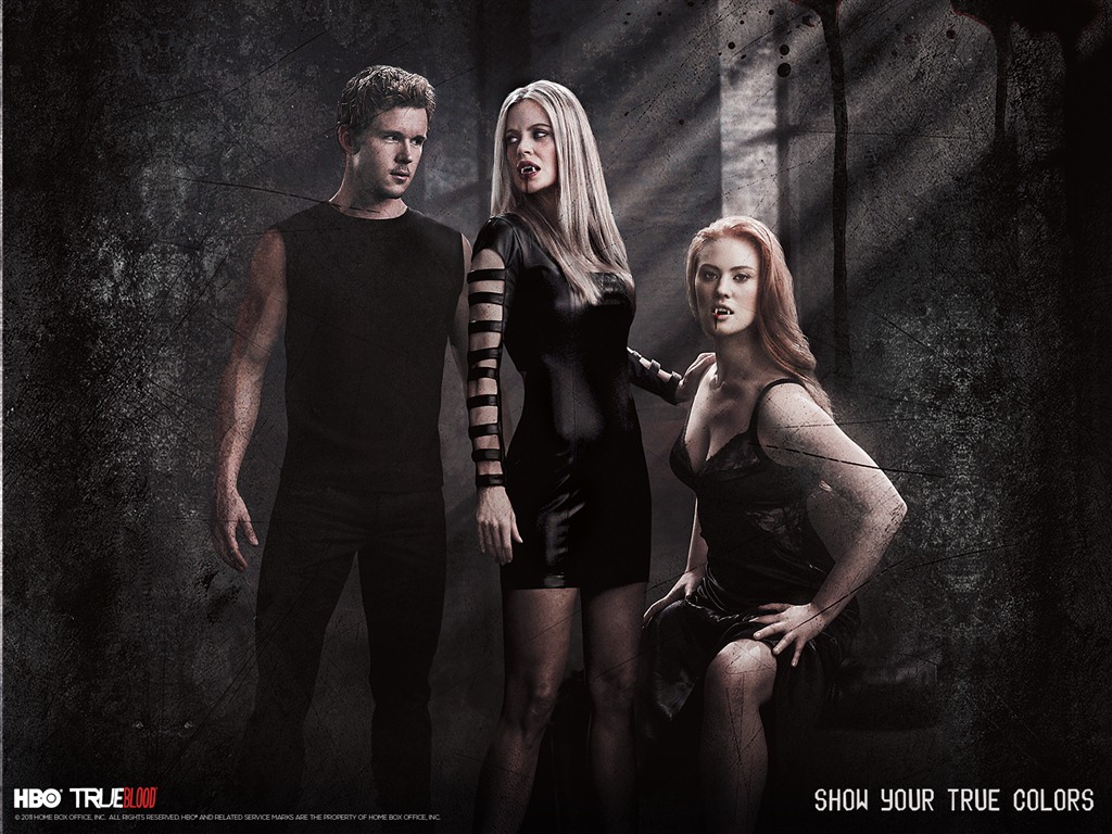 True Blood TV Series HD wallpapers #14 - 1024x768