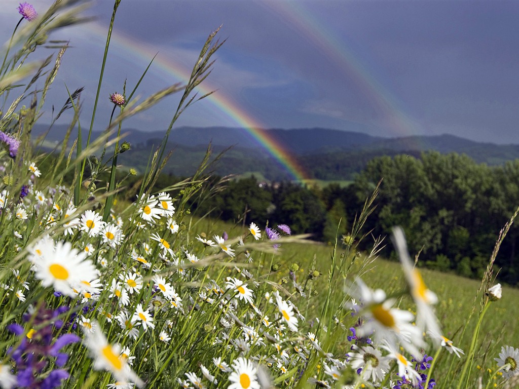 Windows 7 Wallpapers: Arco iris #9 - 1024x768