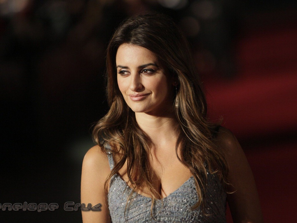 Penelope Cruz 佩內洛普·克魯茲高清壁紙 #5 - 1024x768