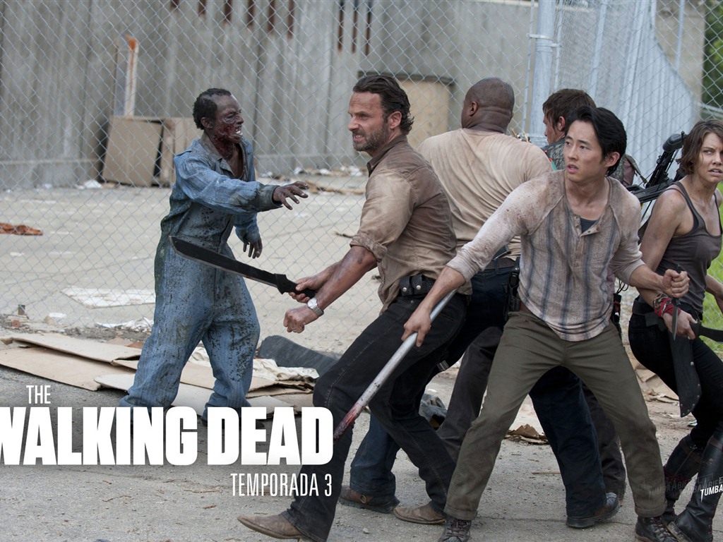 The Walking Dead fonds d'écran HD #17 - 1024x768
