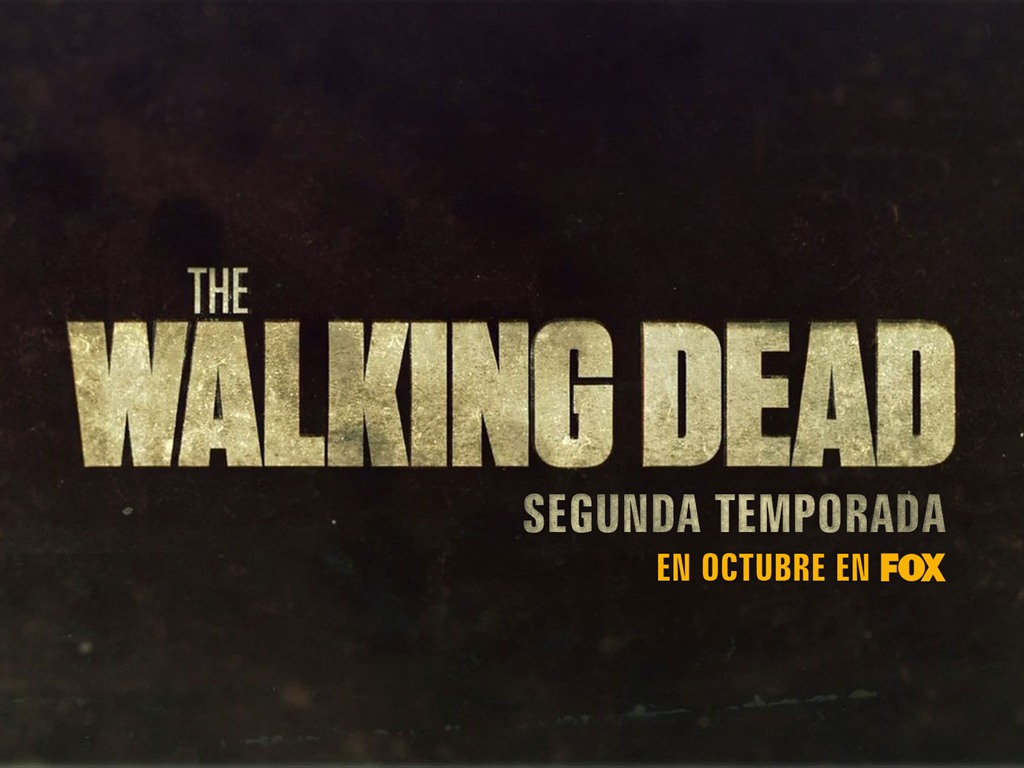 Los fondos de pantalla de alta definición Walking Dead #19 - 1024x768