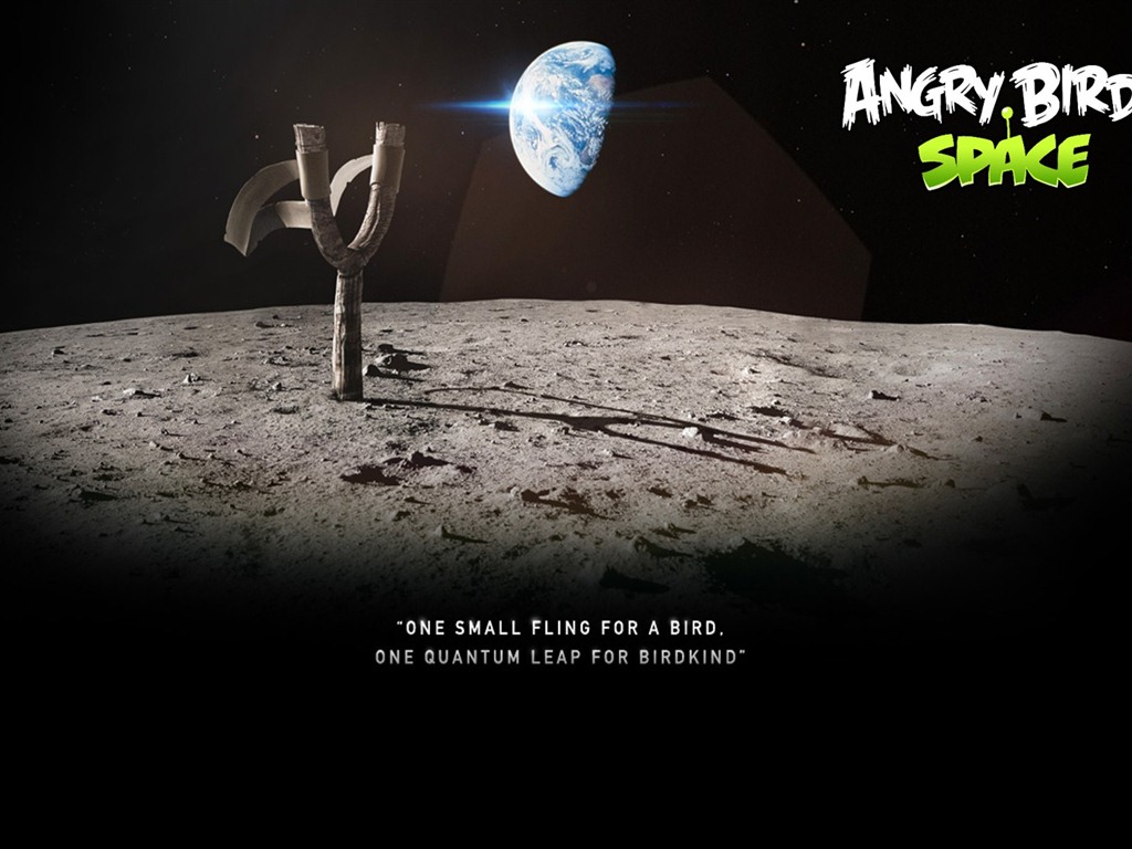 Angry Birds Spiel wallpapers #23 - 1024x768
