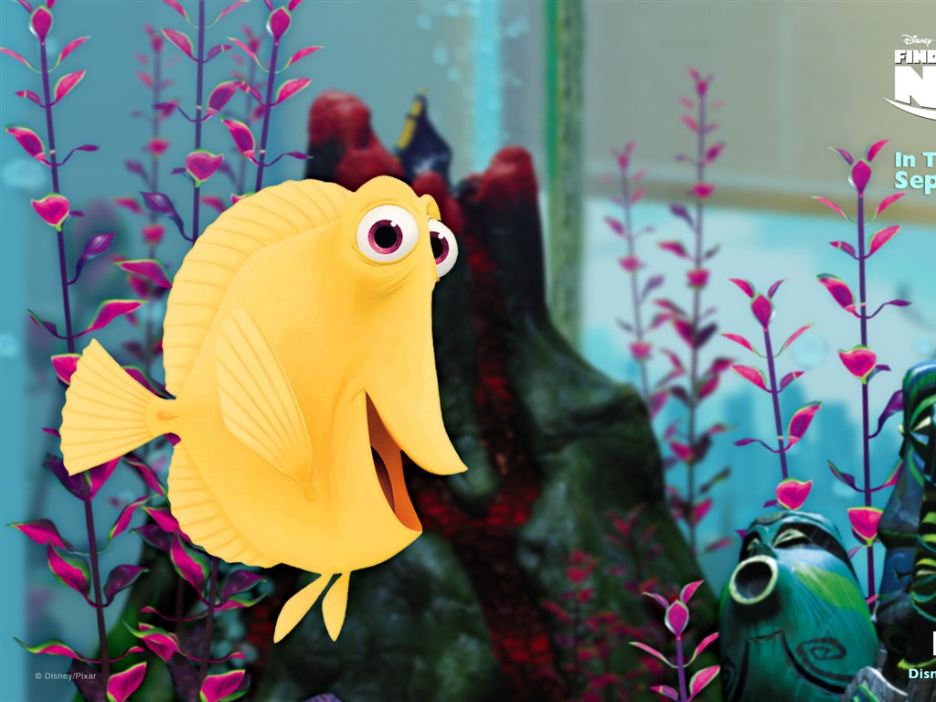 Finding Nemo 3D 海底總動員3D 2012高清壁紙 #4 - 1024x768