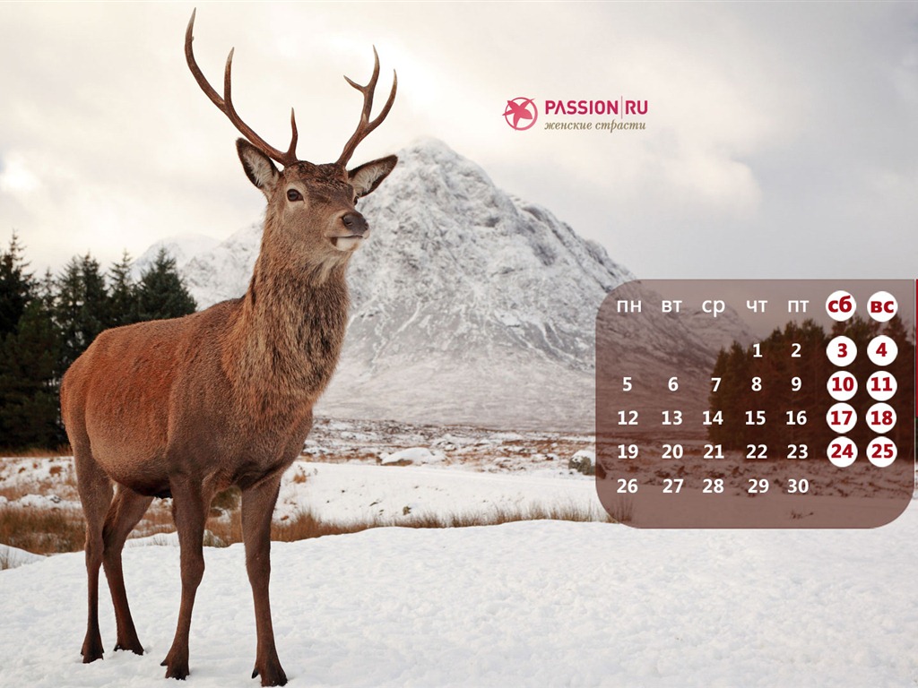 November 2012 Kalender Wallpaper (2) #17 - 1024x768