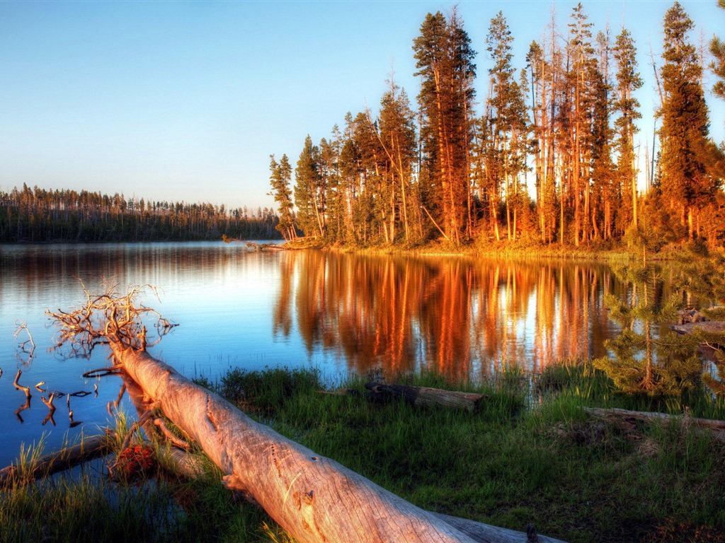 호수, 바다, 나무, 숲, 산, 아름다운 풍경을 배경 화면 #1 - 1024x768