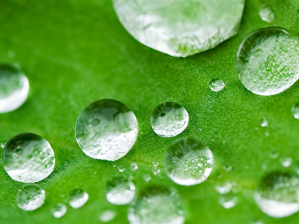 Windows 7 Wallpapers: Příroda #3 - 1024x768