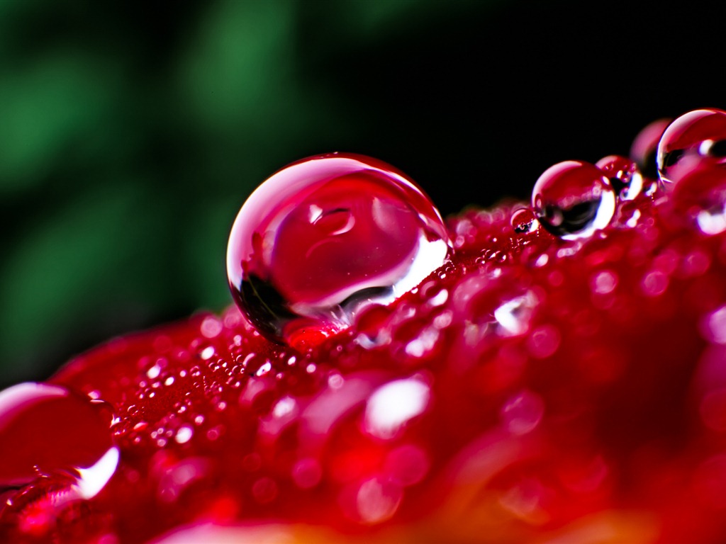 Windows 7 壁紙：水珠 #1 - 1024x768