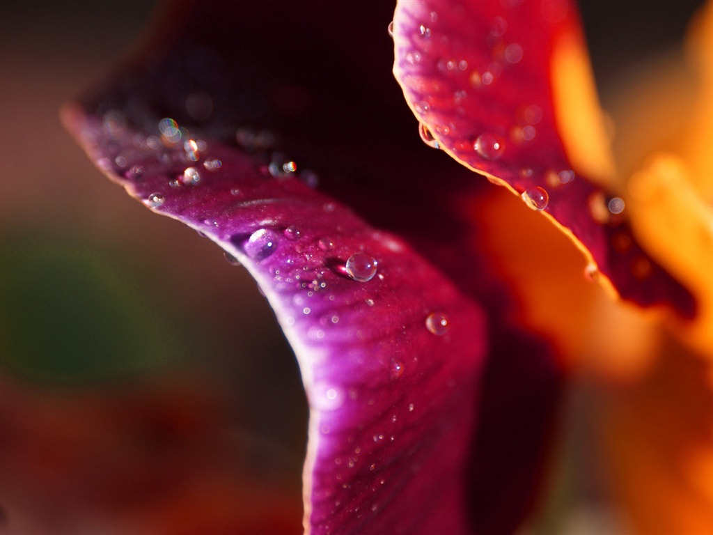 Ubuntu 烏班圖 Linux系統 2012 高清壁紙 #16 - 1024x768