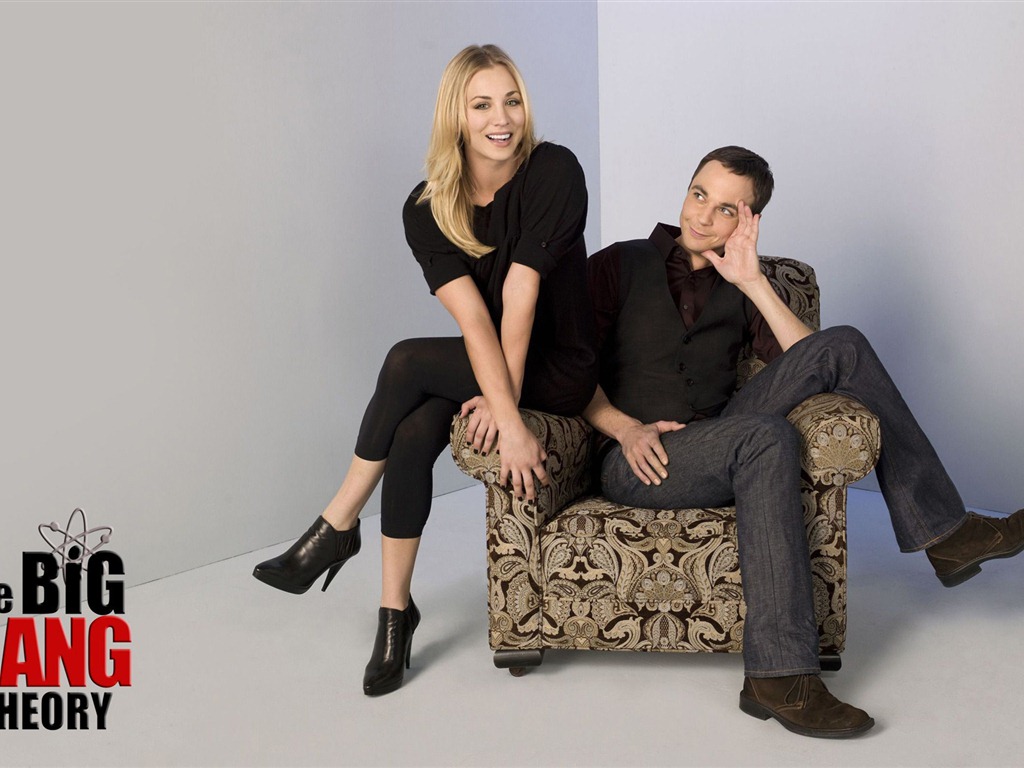 The Big Bang Theory ビッグバン理論TVシリーズHDの壁紙 #10 - 1024x768