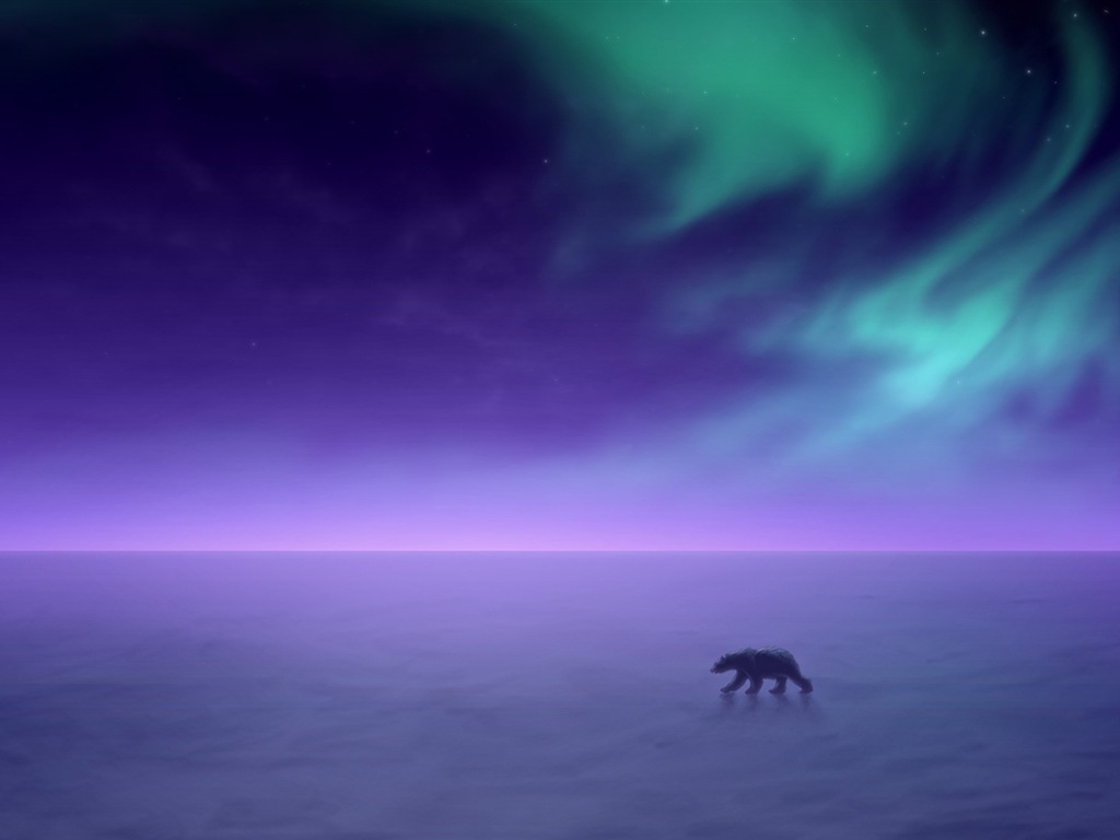 Naturwunder der Northern Lights HD Wallpaper (2) #21 - 1024x768