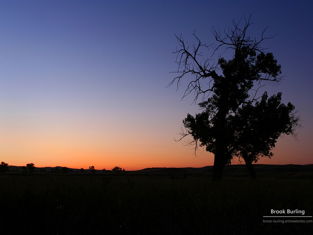 Windows 8 Fondos de pantalla: Painted Skies #14 - 1024x768