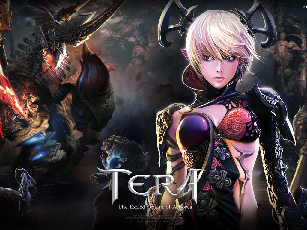 Tera 高清遊戲壁紙 #1 - 1024x768