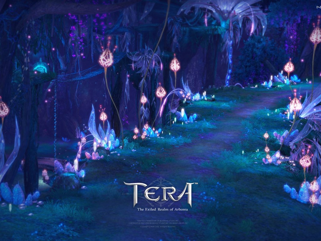 Tera 高清遊戲壁紙 #5 - 1024x768