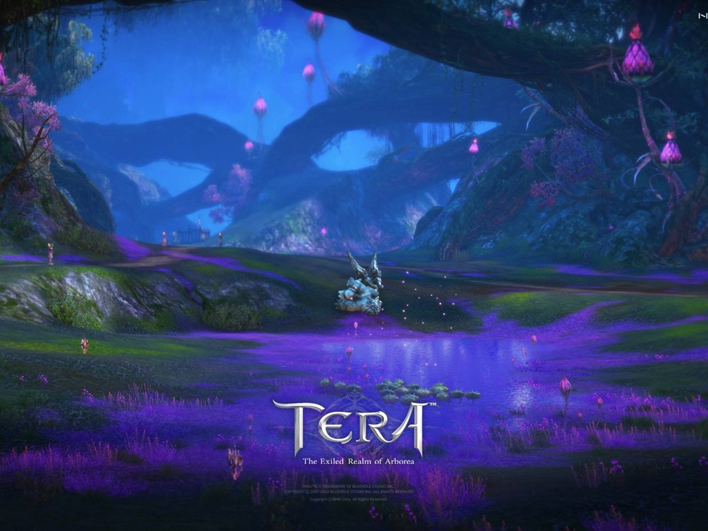 Tera 高清遊戲壁紙 #8 - 1024x768