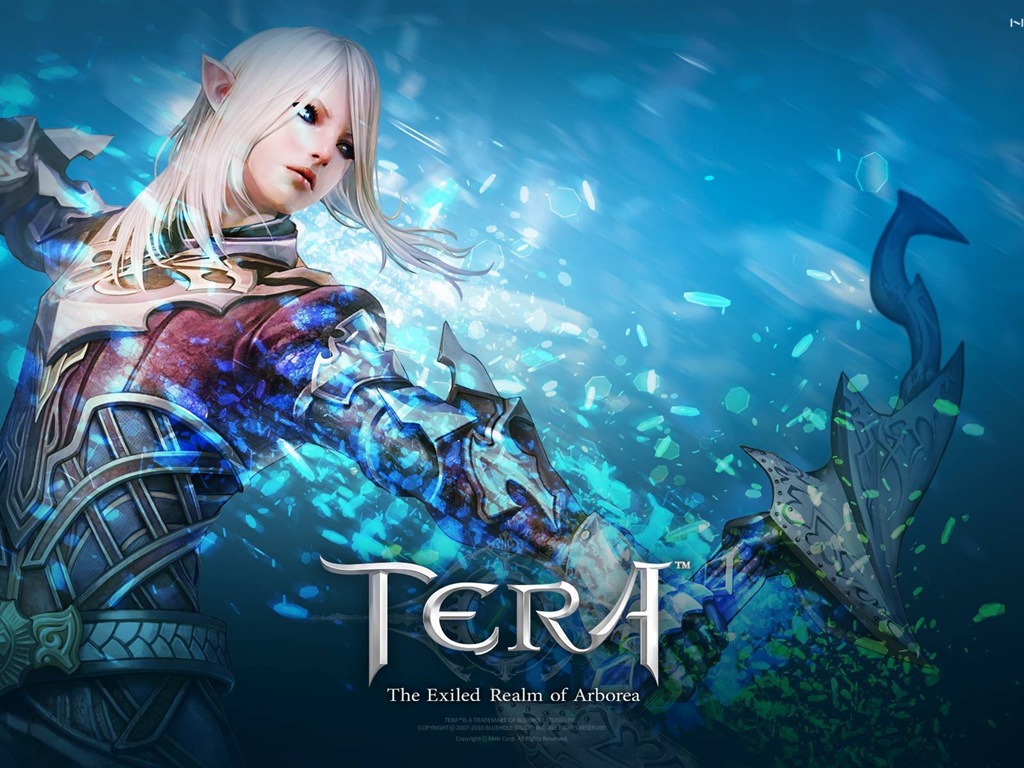 Tera 高清遊戲壁紙 #12 - 1024x768