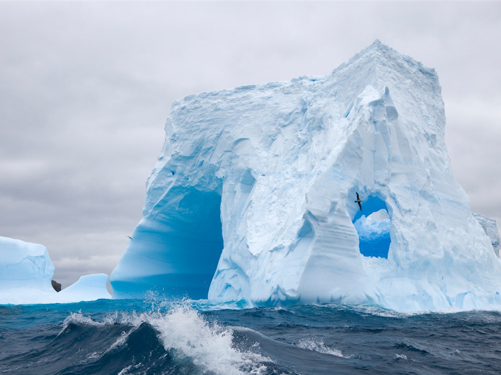 Fonds d'écran Windows 8: l'Antarctique, des paysages de neige, pingouins en Antarctique #7 - 1024x768