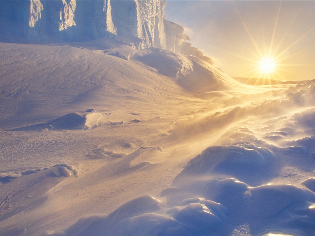 Windows 8 壁紙：南極洲，冰雪風景，南極企鵝 #9 - 1024x768