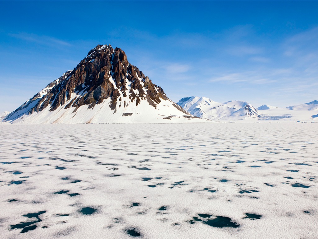 Fonds d'écran Windows 8: l'Arctique, le paysage de nature écologique, animaux arctiques #1 - 1024x768