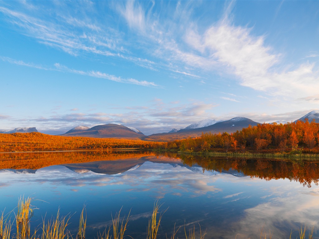 Windowsの8壁紙：北極、自然生態系の風景、北極の動物たち #5 - 1024x768