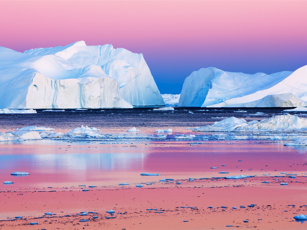 Fonds d'écran Windows 8: l'Arctique, le paysage de nature écologique, animaux arctiques #7 - 1024x768