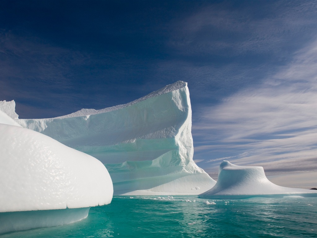 Windows 8 Wallpapers: Arctic, the nature ecological landscape, arctic animals #14 - 1024x768