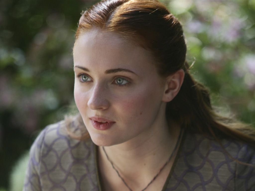 A Song of Ice and Fire: Game of Thrones 冰與火之歌：權力的遊戲高清壁紙 #40 - 1024x768