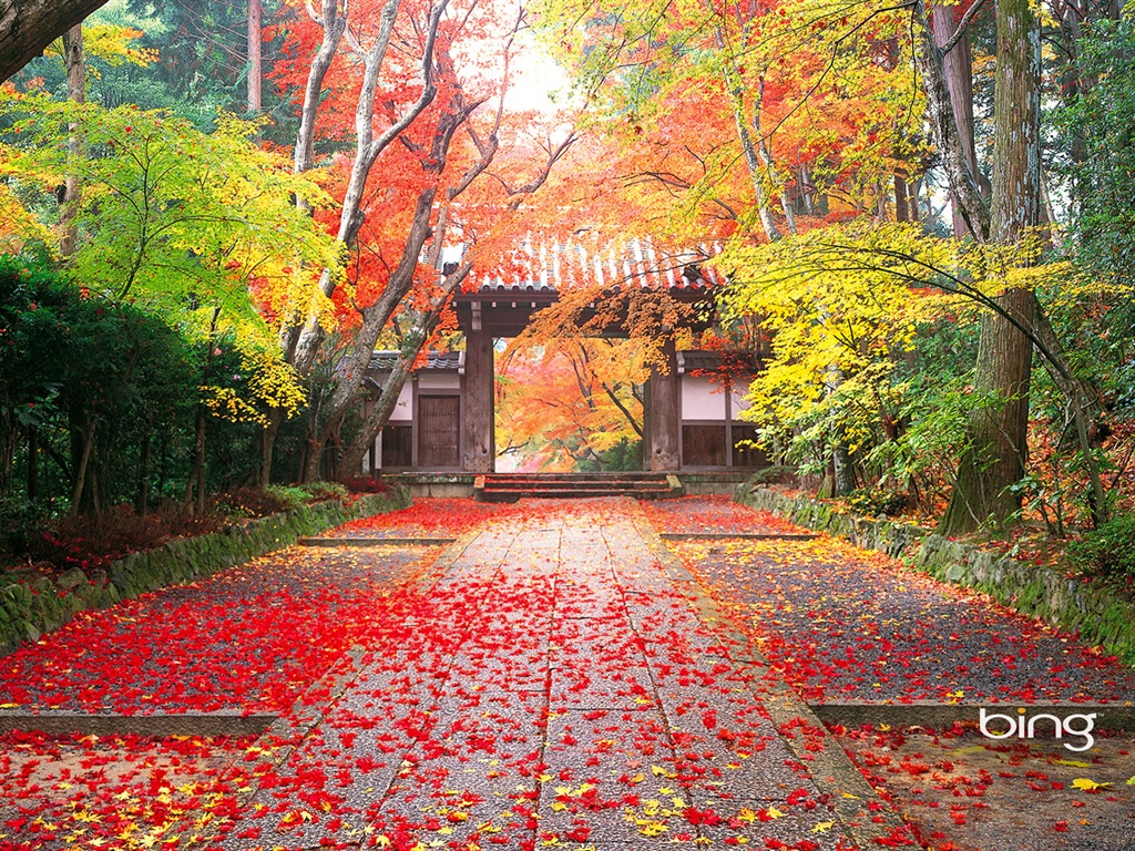 Microsoft Bing écran HD: Japonais papier peint thème du paysage #1 - 1024x768