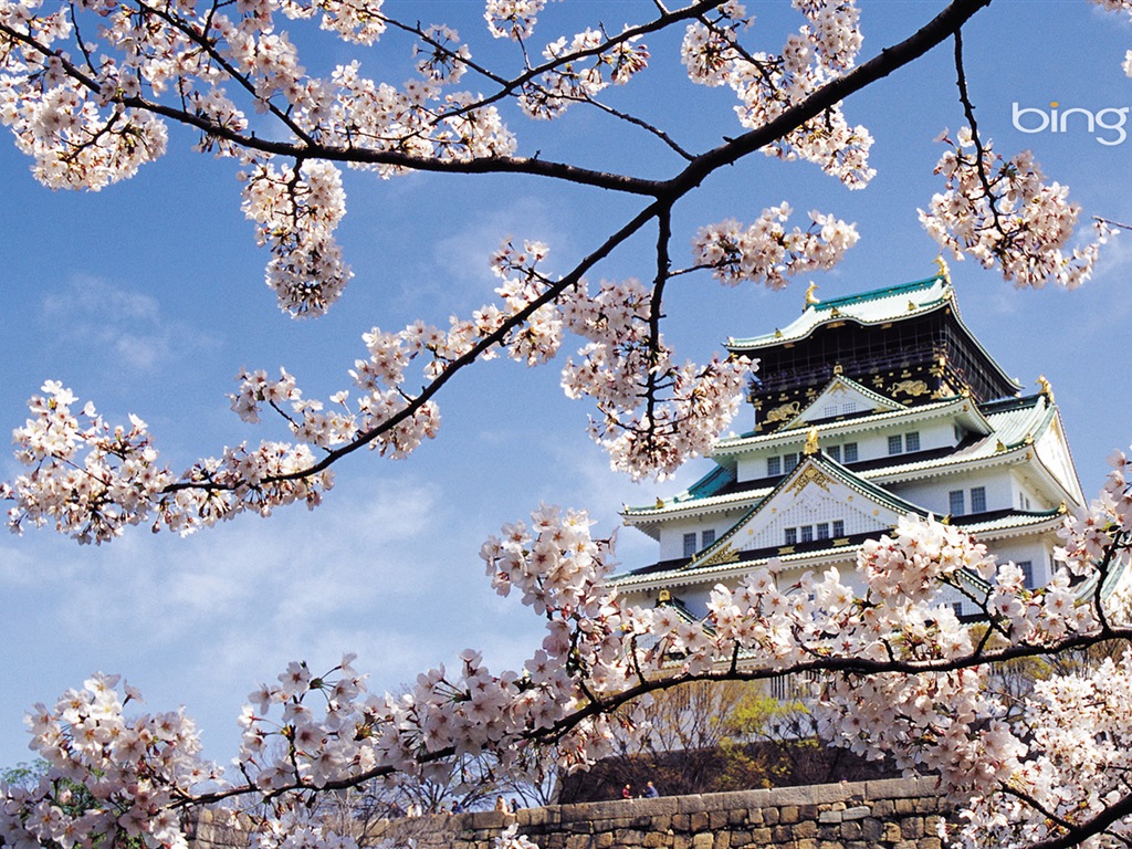 Microsoft Bing HD Tapety na plochu: Japonská krajina téma wallpaper #6 - 1024x768