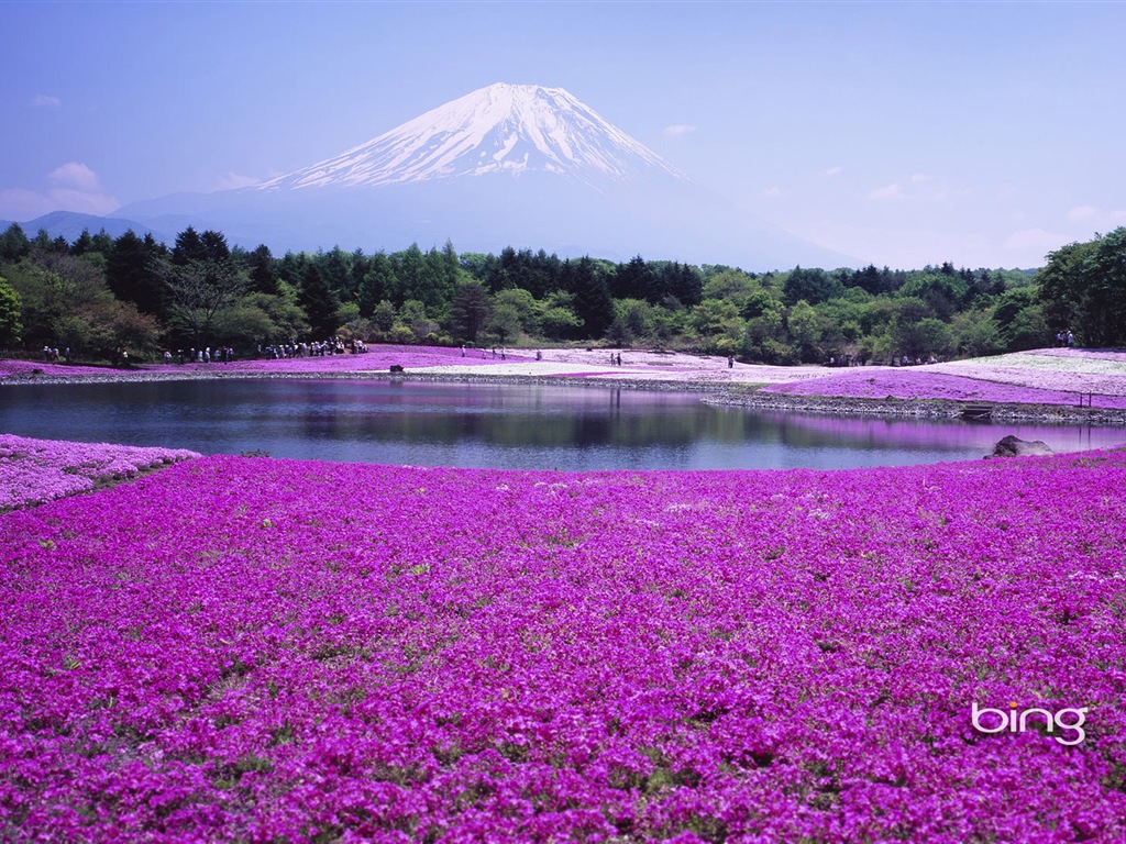 Microsoft Bing écran HD: Japonais papier peint thème du paysage #11 - 1024x768