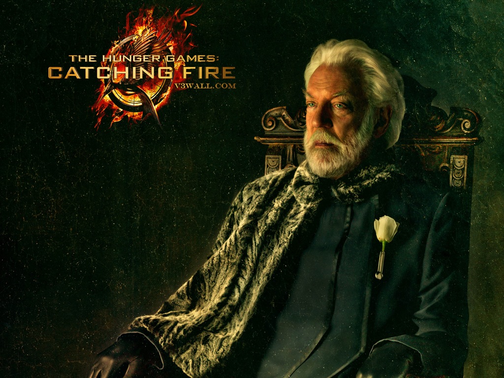 The Hunger Games: Catching Fire 飢餓遊戲2：星火燎原 高清壁紙 #3 - 1024x768