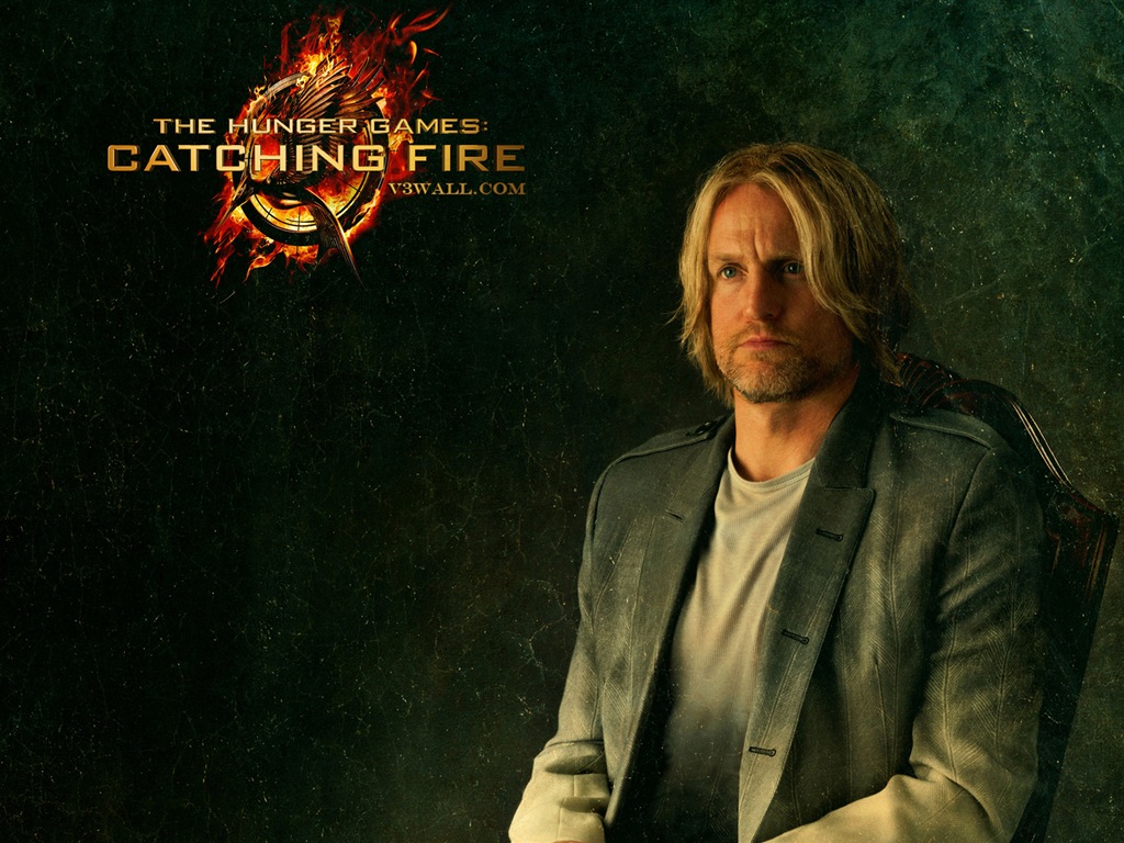 The Hunger Games: Catching Fire 飢餓遊戲2：星火燎原 高清壁紙 #12 - 1024x768