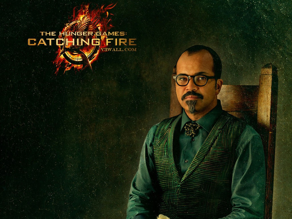 The Hunger Games: Catching Fire 飢餓遊戲2：星火燎原 高清壁紙 #14 - 1024x768