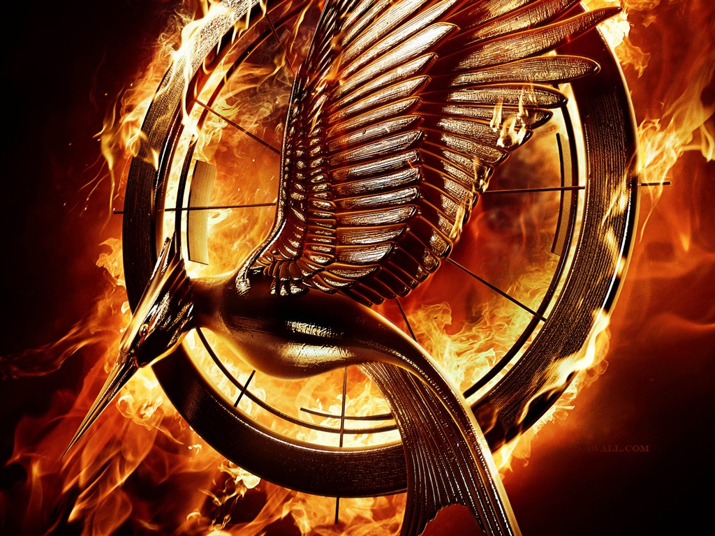 The Hunger Games: Catching Fire 飢餓遊戲2：星火燎原 高清壁紙 #17 - 1024x768