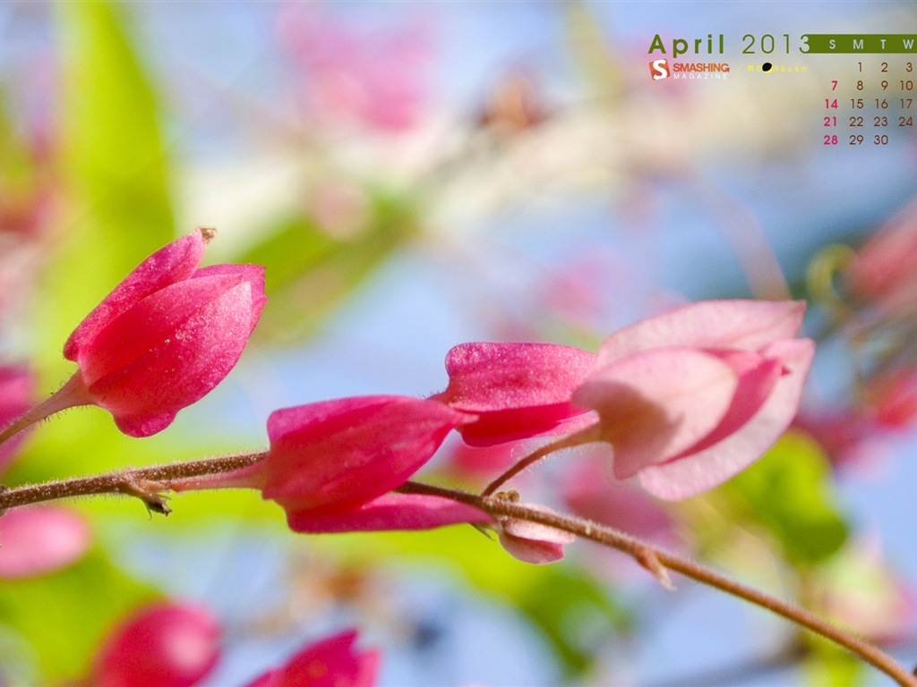 2013年4月 月曆壁紙(一) #17 - 1024x768