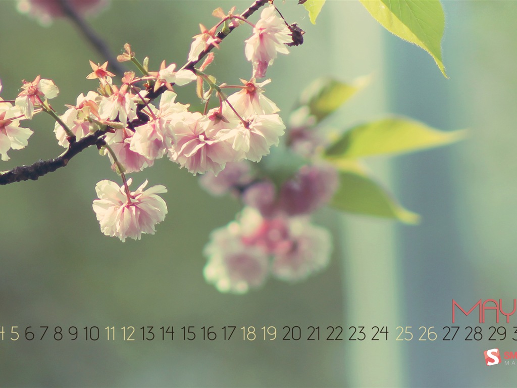 2013年5月 月曆壁紙(二) #19 - 1024x768