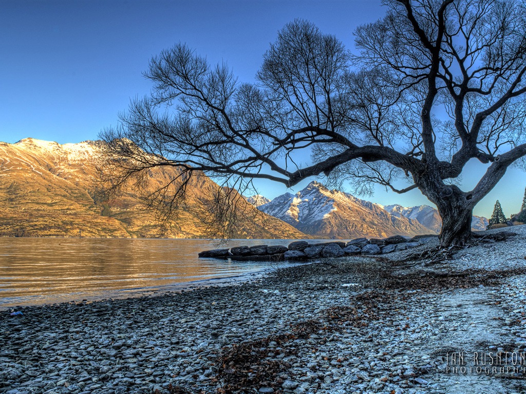 Windows 8 es el tema de fondo de pantalla: Queenstown, Nueva Zelanda #1 - 1024x768