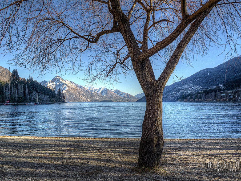 Windows 8 Theme Wallpaper: Queenstown, New Zealand #12 - 1024x768