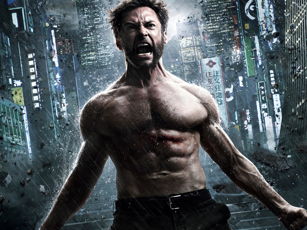 Wolverine 2013 HD tapety na plochu #9 - 1024x768