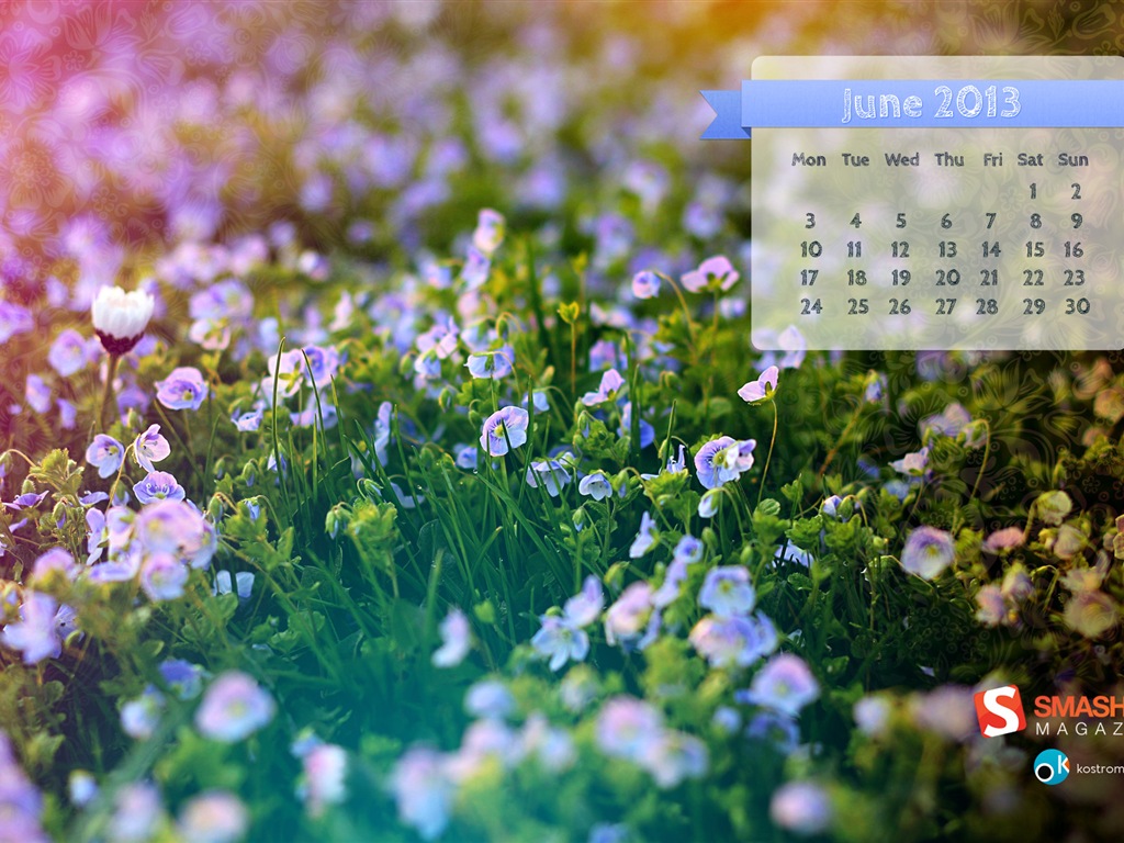 2013年6月 月曆壁紙(二) #14 - 1024x768