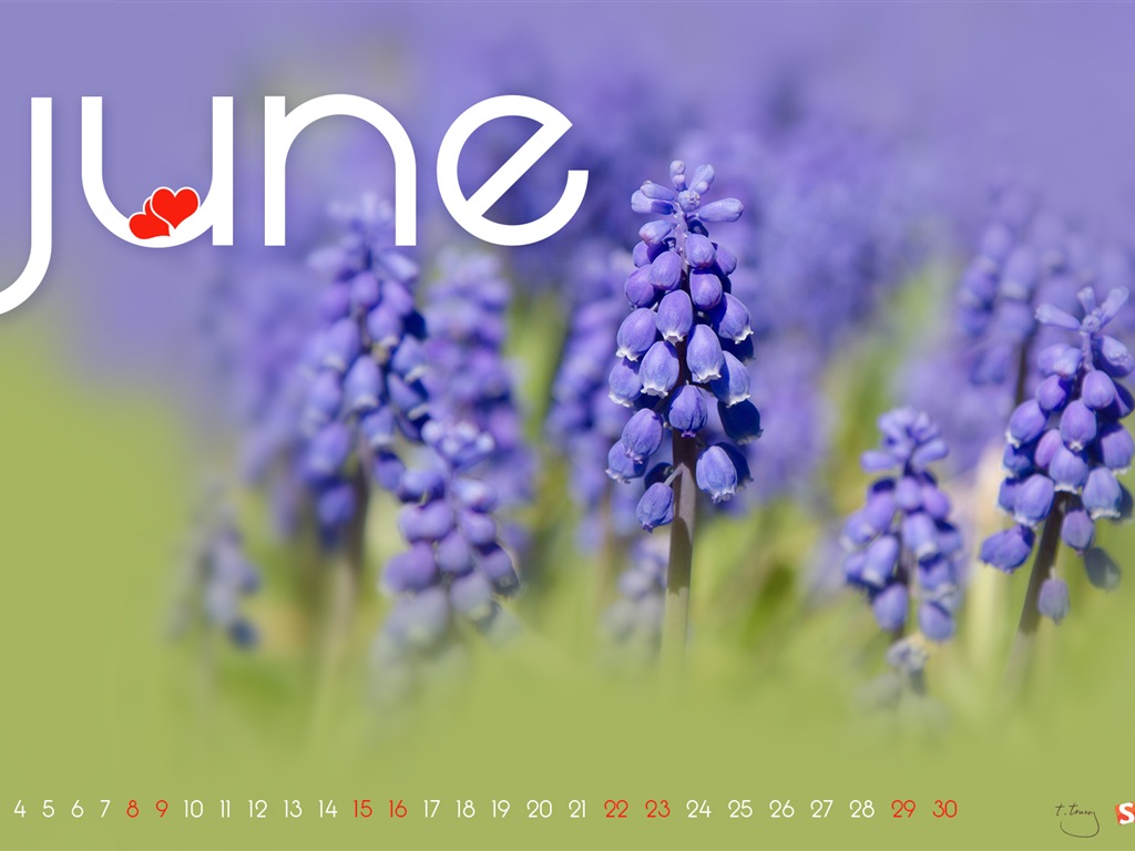 2013年6月 月曆壁紙(二) #17 - 1024x768