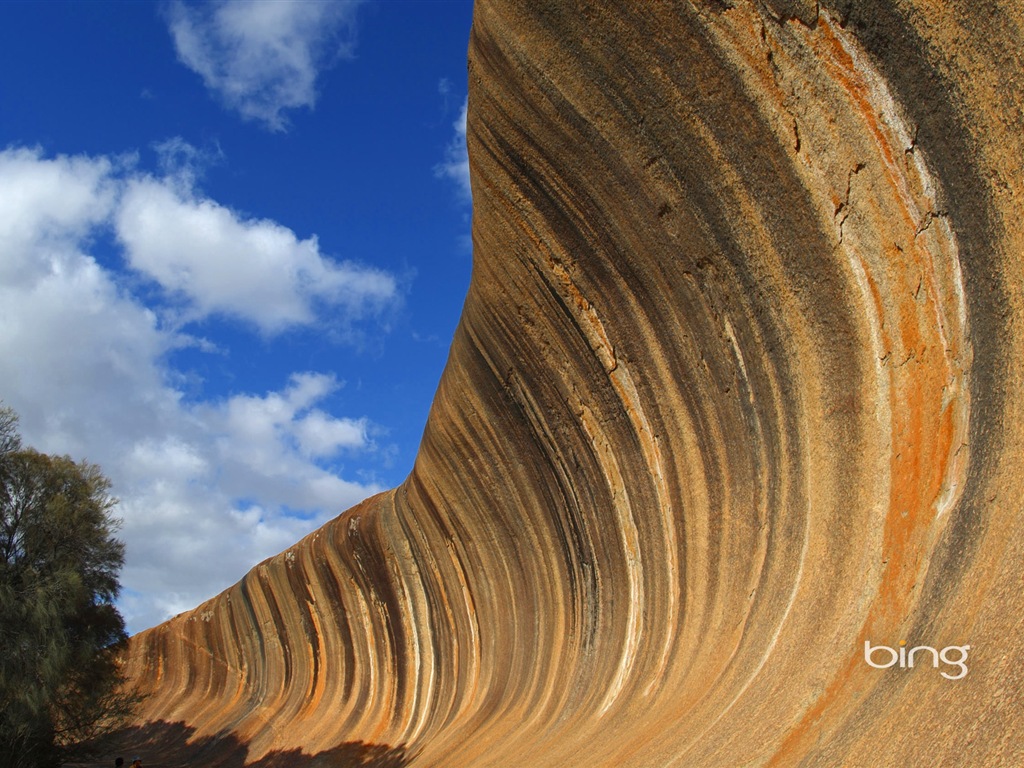 Bing Australie thème fonds d'écran HD, animaux, nature, bâtiments #3 - 1024x768