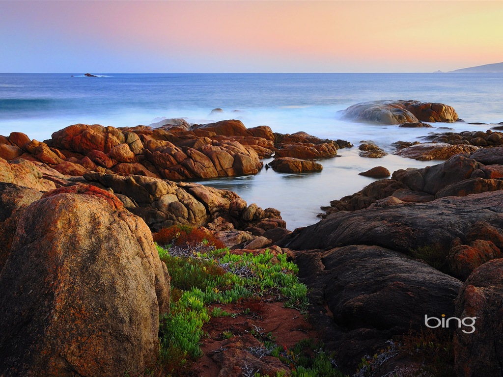 Microsoft Bing thème fonds d'écran HD, l'Australie, ville, paysage, animaux #7 - 1024x768