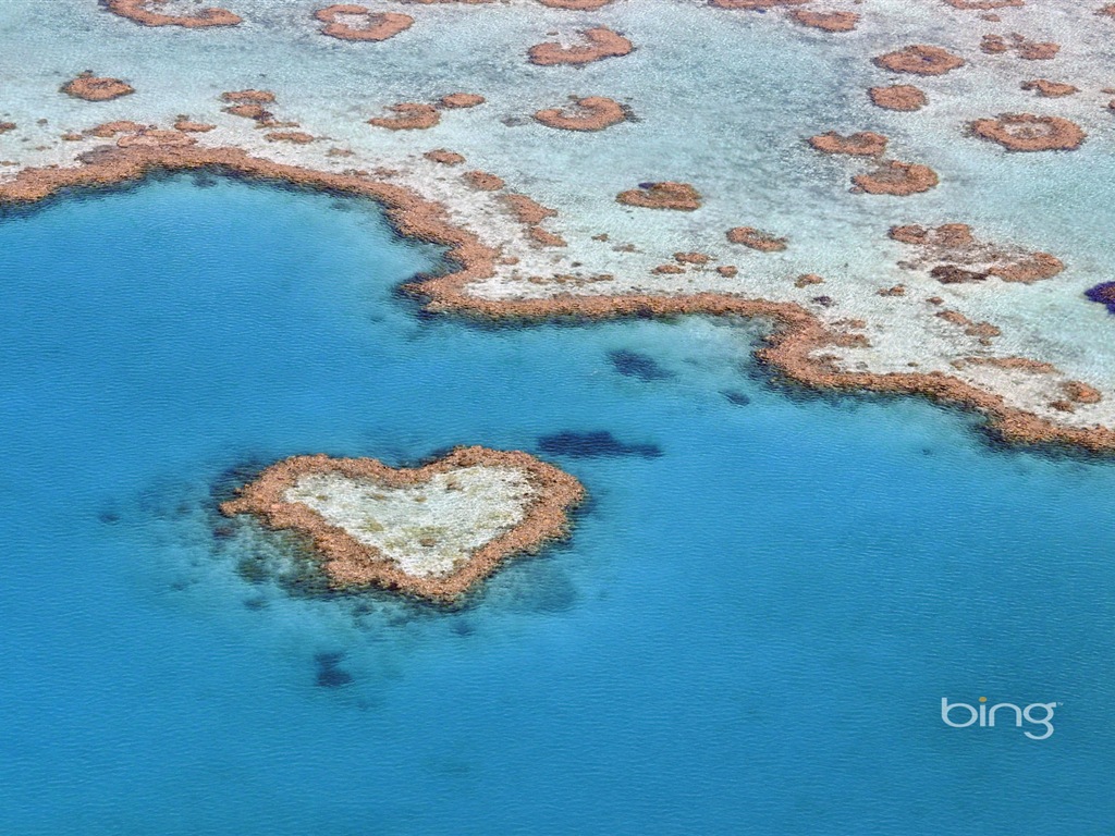 微軟Bing主題高清壁紙，澳大利亞，城市，景觀，动物 #12 - 1024x768